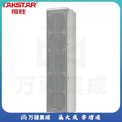 得胜（TAKSTAR）ESC-044 室内挂式音响 音柱 演艺音箱 HIFI壁挂式音响 室内演艺广播背景音乐音箱 白色
