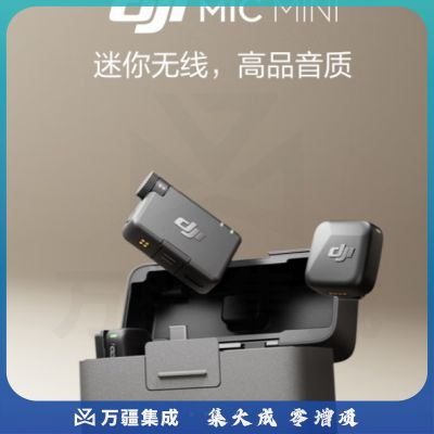大疆DJI Mic Mini Type-C(含充电盒)迷你领夹麦克风一拖二全能版（含充电盒）