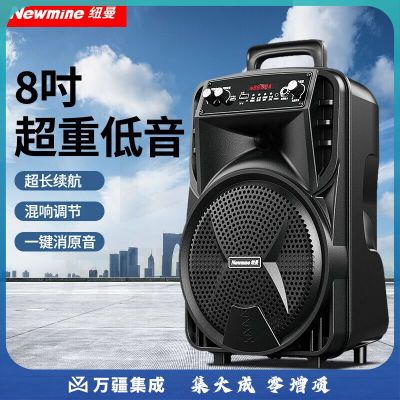 纽曼N509广场舞音响大功率扩音器户外大音量移动便携式家用手提蓝牙音箱演出k歌低音炮地摊摆摊喇叭