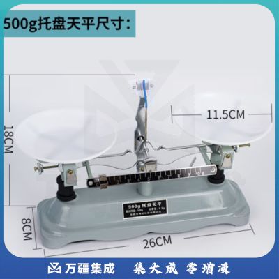 托盘天平称砝码小学生中学初中物理实验器材教学仪器 托盘天平500g