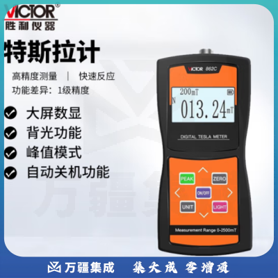 胜利仪器（VICTOR）高斯计数字磁场磁力磁性强度检测仪高精度特斯拉计磁通测磁仪 VC862C