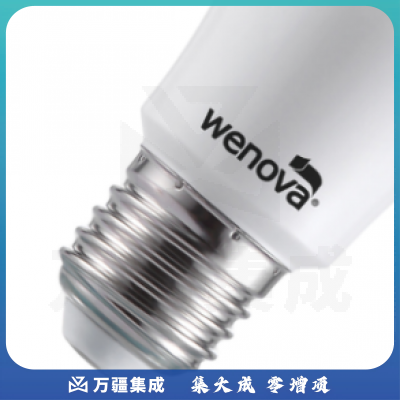 威诺华 A65 12W/E27/白光 LED球泡