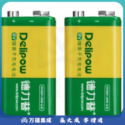 德力普（Delipow） 9V充电电池 9V锂电池充电套装 550mAh大容量6F22万用表麦克风 550mAh电池 单位：粒