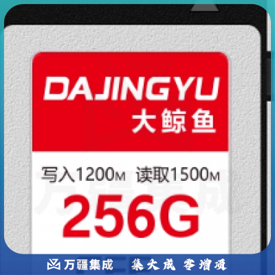 大鲸鱼CFexpress存 储 卡1700MB/s白银系列256