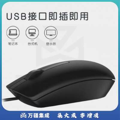 戴尔(DELL)MS116 鼠标有线 商务办公经典对称 有线鼠标 USB接口 即插即用 鼠标 (黑色)