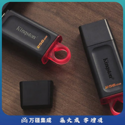 金士顿（Kingston）256GB USB3.2 Gen 1 U盘 DTX