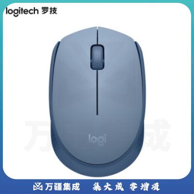 罗技(Logitech)M172无线鼠标 家用商务办公鼠标2.4G接收器 品月蓝