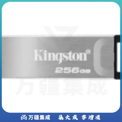金士顿(Kingston)256GB USB 3.2 Gen 1 U盘 DTKN 金属外壳 读速200MB/s