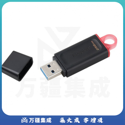 金士顿（Kingston）256GB USB3.2 Gen 1 U盘 DTX 时尚设计 轻巧便携