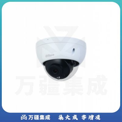 大华 400万星光红外定焦半球网络摄像机POE供电 DH-IPC-HDBW3433R-SA 焦距3.6mm
