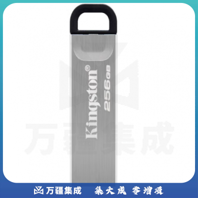 金士顿(Kingston)256GB USB 3.2 Gen 1 U盘 DTKN 大容量U盘 金属外壳