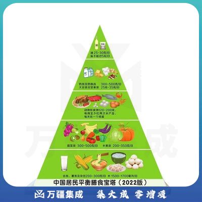 泰贵医学 TAIGUI MEDICINE 国标 标准版膳食宝塔】+24套食物模型  中国居民膳食宝塔模型