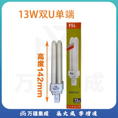佛山 13W 插管灯 6500K