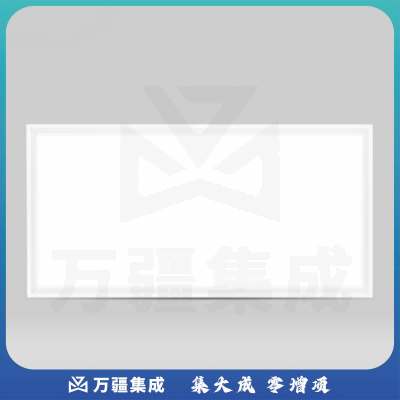 LED平板灯300*600厨卫灯