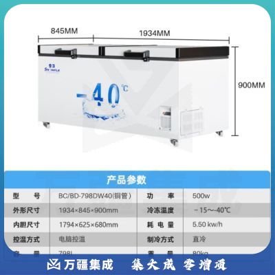 雪花 SNOWFLK 冰柜 商用冷藏冷冻保鲜柜 -40°超低温冰柜卧式商用冷柜 HM雪花798DW40铜 -40度低温柜