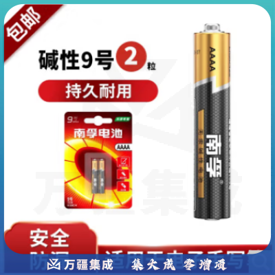 南孚 碱性9号电池2粒 全新升级物联电池 （十粒起售）