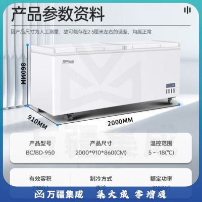 顶邦（DINGBANG)商用冰柜大容量 速冻低温冷柜 卧式单温全冷冻冻肉海鲜家用急冻冷柜BD/BC-950