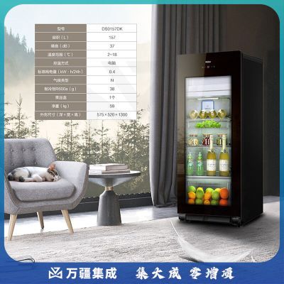 海尔（Haier）DS0157DK 157升智能双温可制冰家用客厅办公室冰吧