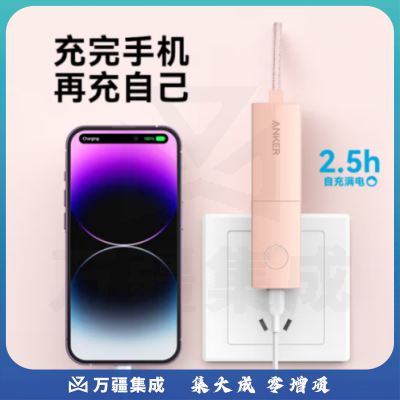 Anker安克 A1633充电宝充电器二合一能量棒20W快充带插头迷你移动电源可折叠 可上飞机 适用苹果13/12/安卓小米 粉
