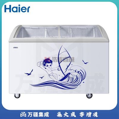 海尔 SC/SD-262C商流 卧式大容量透明冷冻柜 188L