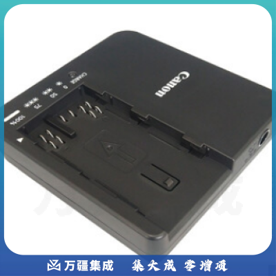 佳能（Canon）BP-A30/A60 摄像机电池/充电器 佳能 CG-A20 原装充电器 适用佳能C700FF PL
