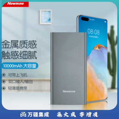 纽曼（Newmine ）M106移动电源10000毫安时 双USB输出Type-C输入金属充电宝 灰