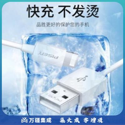 品胜充电宝户外电源 苹果充电线【1米标准版】