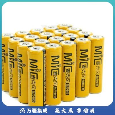 南孚 电池 KTV麦克风无线话筒适用5号充电电池2050mAh20节五号电池充电器卡槽 20节电池