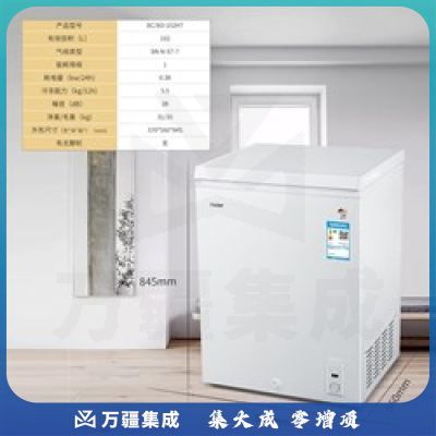 海尔（Haier） 102升家用冰柜 冷藏冷冻转换柜 小型迷你冷柜 节能单温冰箱 BC/BD-102HT