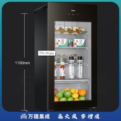 海尔（Haier） 137升家庭营养保鲜冰吧 离子杀菌茶叶饮料展示柜 小冰箱 DS0137K