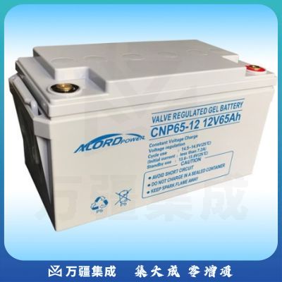 安洛达 CNP12V-65AH 不间断电源 电池