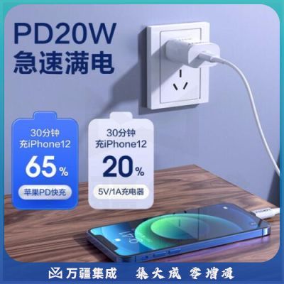 品胜 苹果PD快充套装20W type-c充电器 PD数据线通用iPhone13/12/11Pro/XsMax/mini/ipadpro小米华为插头18W