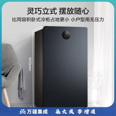 美的（Midea）120升节能家用立式冰柜-40℃深冷电子控温冷藏冷冻转换 抽屉式小型全冷冻冰箱冷柜 BD/BC-120UEM