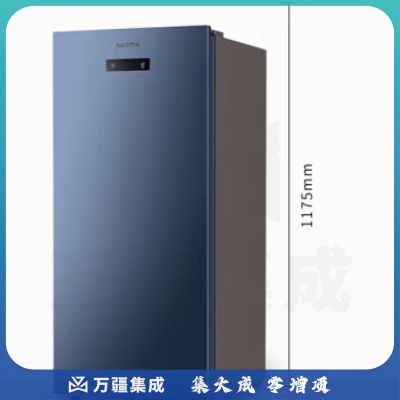 澳柯玛（AUCMA）风冷无霜一级能效立式冰柜 侧开门冷冻冷藏转换家用商用母婴母乳小冷柜 风冷立柜 BD-131WNE【晶韵无霜系列】 131L