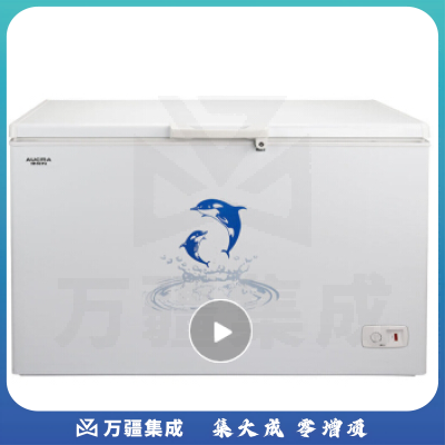 澳柯玛 390升冷藏冷冻转换冰柜 家用商用大容量顶开门单温冷柜 BC/BD-390SH