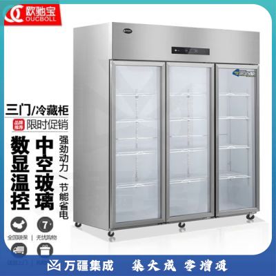 欧驰宝立式冷冻柜四门冰箱大容量饭店餐饮店后厨 不锈钢厨房冰箱六开门商用冰柜 三门A款/冷藏【1800*680*1930】