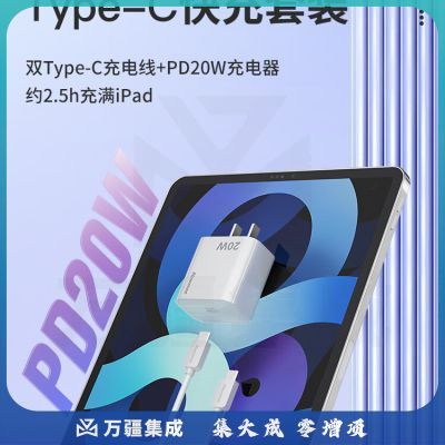 纽曼（Newmine）CH-618 iPad充电器套装PD快充用于苹果平板ipadAir4Pro11/12.9/2020款华为小米双头Type-c数据充电线 白