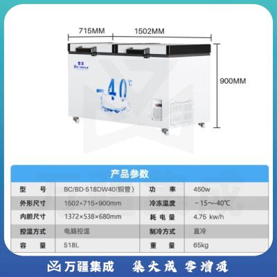 雪花（SNOWFLK）冰柜商用家用大容量卧式冰柜冷柜冷藏冷冻转换柜 BD/BC-1088
