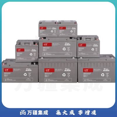 山特 铅酸 12V100AH C12-100AH