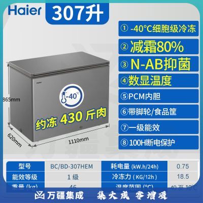 海尔（Haier）冰柜-40度超低温307升商用大容量一级冷柜 BC/BD-307HEM