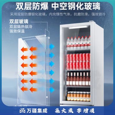 澳柯玛（AUCMA）229升立式单门商用展示柜 超市冷藏柜饮料啤酒保鲜柜 冷饮冷柜冰箱陈列柜冰柜 SC-229SNEB