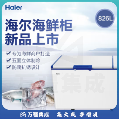 海尔 冰柜商用深冷速冻卧式电冰柜BC/BD-826SEA