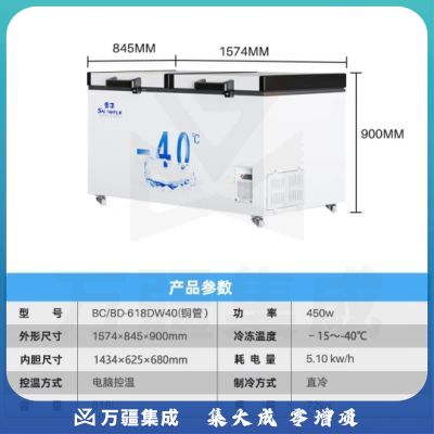 雪花 SNOWFLK 冰柜 商用冷藏冷冻保鲜柜 -40°超低温冰柜卧式商用冷柜 HM雪花618DW40铜 -40度低温柜