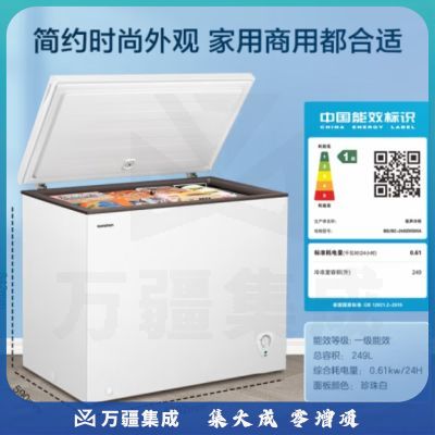 容声249升低霜大容量冰柜商用冷藏冷冻转换冷柜 一级能效 雪糕冰柜 厨房卧式冰箱BD/BC-249ZMSMA