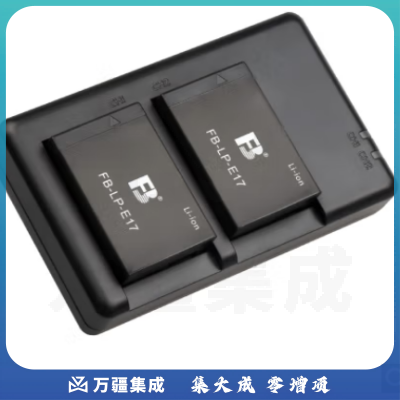 沣标（FB）LP-E17相机电池充电器套装For佳能R8 R10 R50 R100 850D 800D 750D 760D 77D M3 M5 M6 200DII二代