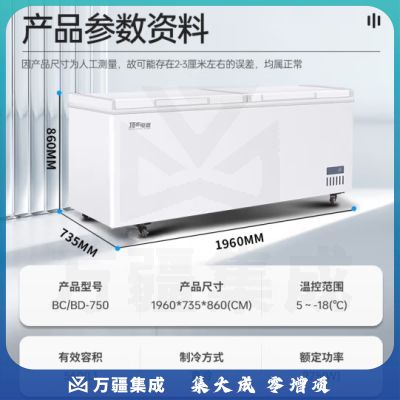 顶邦（DINGBANG)商用冰柜大容量 速冻低温冷柜 卧式单温全冷冻冻肉海鲜家用急冻冷柜BD/BC-750