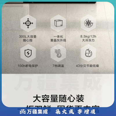 海尔冷柜FCD-300LHSC双温柜
