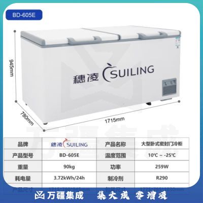 穗凌冰柜 一级能效省电商用冰箱 大容量卧式冷柜 冷藏冷冻可转换超市雪柜BD-605E