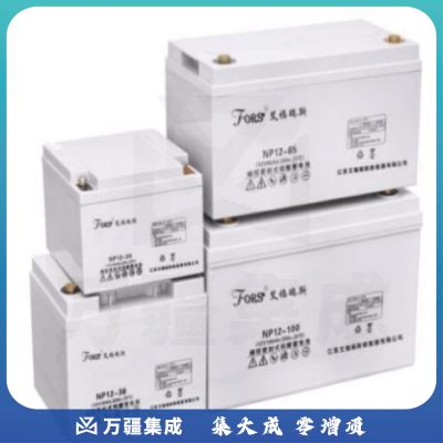 艾福瑞斯 NP12-65 不间断电源电池