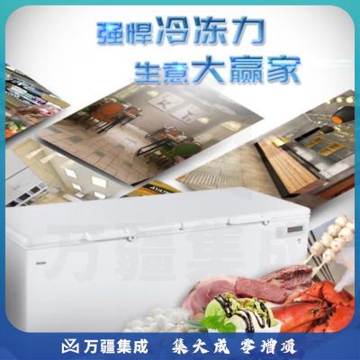 海尔冰柜商用大容量全冷冻家用冷藏冷冻两用一键转换-38度超低温冷柜海鲜速冻保鲜柜500升以上 BC/BD-1028T丨约冻1500斤｜